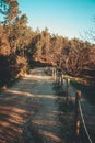 Colorful road though the forest during a sunny day of autumn with wood totems Royalty Free Stock Photo