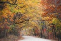 Autumn road Royalty Free Stock Photo