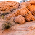 Colorful Rock Formations on The Prospect Trail, Valley Of Fire State Park