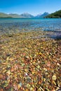 Colorful rock in the lake of Glacier national park Royalty Free Stock Photo