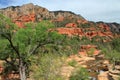 Oak Creek Canyon at Slide Rock State Park, Sedona, Arizona, USA Royalty Free Stock Photo