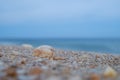 Colorful rocks and crushed shells wash up on a Jersey beach at d