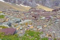 Colorful Rocks in a Scree Field