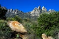 Colorful rocks, trees, and stands of yucca enhance Organ Mountains-Desert Peaks National Monument in New Mexico Royalty Free Stock Photo