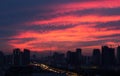 Colorful romantic sunset twilight sky in the bustling city backgroun