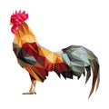 Colorful rooster low polygon standing Royalty Free Stock Photo