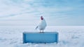 Dreamlike Portraiture: A Chicken On A Blue Box In The Snow