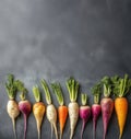 Colorful root vegetables arranged on dark background Royalty Free Stock Photo