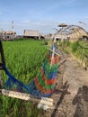 Colorful rope hammocks in the field on a clear day