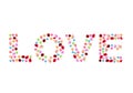 Colorful rose blooming and heart paper arranging love word concepts valentine on white background