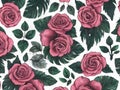 Colorful Rose Flowers and Branches Illustration. Seamless Pattern Background. Royalty Free Stock Photo