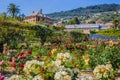 Colorful rose garden `Il Roseto` in Genoa Genova Nervi, inside Genoa Nervi Groppallo Park, Italy Royalty Free Stock Photo