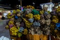 Colorful Rose of Jericho anastatica hierochuntica herbs in the store of Egypt market Royalty Free Stock Photo