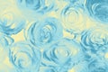 Colorful roses background. Natural texture of tenderness and lov Royalty Free Stock Photo
