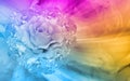 colorful roses flower bouquet on speed and laser on blur roses flower background, fashion, nature, banner, template, copy space