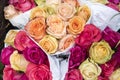 Colorful roses  valentine roses in red  pink  orange and bright yellow. Royalty Free Stock Photo