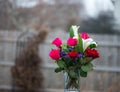 Colorful roses with other flowers