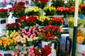 Colorful roses in vases in flower shop.