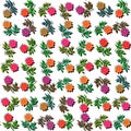 Colorful roses on white - seamless decorative fashionable floral pattern;