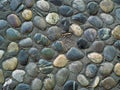 Colorful round and smooth stones of the same size in a ground earth path in a city park. Design Royalty Free Stock Photo