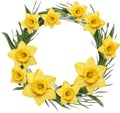 A colorful round yellow daffodil wreath. AI-Generated.