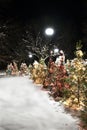 colorful row of Christmas trees with Christmas lights and ornaments outdoor in snowy night. Holy night concept