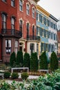 Colorful row houses in Capitol Hill, Washington, DC Royalty Free Stock Photo