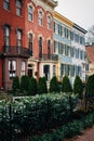 Colorful row houses in Capitol Hill, Washington, DC Royalty Free Stock Photo