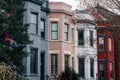 Colorful row houses in Capitol Hill, Washington, DC Royalty Free Stock Photo