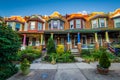 Colorful row houses on Guilford Avenue, in Charles Village, Baltimore, Maryland