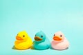 Colorful rubber bath ducks on blue background Royalty Free Stock Photo