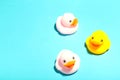 Colorful rubber bath ducks with copy space on blue background Royalty Free Stock Photo