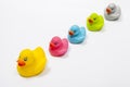 Colorful rubber ducks isolated on white Royalty Free Stock Photo