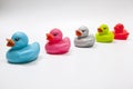 Colorful rubber ducks isolated on white Royalty Free Stock Photo
