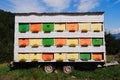 Colorful rural hive set for bee colony