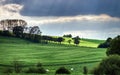 Colorful rural landscape with green fields