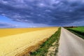 Colorful rural landscape with green fields