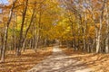 Colorful Rural Road in the Fall