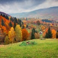 Colorful rural scene in the Kvasy village