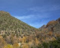 Colorful Sabino Canyon