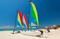 Colorful sail catamarans