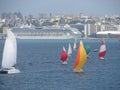 colorful sailboats in the bay