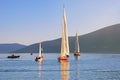 Colorful sailboats on water on sunny day. Montenegro