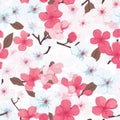 Colorful Sakura Flower Seamless Pattern On Solid White Background Royalty Free Stock Photo