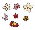 Colorful sakura flower vector.Chinese flower tattoo. Chrysanth flower for tattoo.