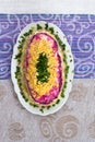 Colorful salad with herring and vegetables on the plate Royalty Free Stock Photo