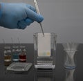 Colorful sample application of thin layer chromatography. The process of developing samples in the tlc system for analysis of