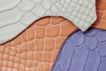 Colorful samples of genuine leather , embossed under the skin reptile, different colors. Texture pattern Royalty Free Stock Photo