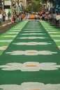 Colorful sand carpet on a street at the Holy Week