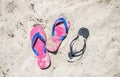 Colorful sandy Flip Flops on the beach on a summer day Royalty Free Stock Photo